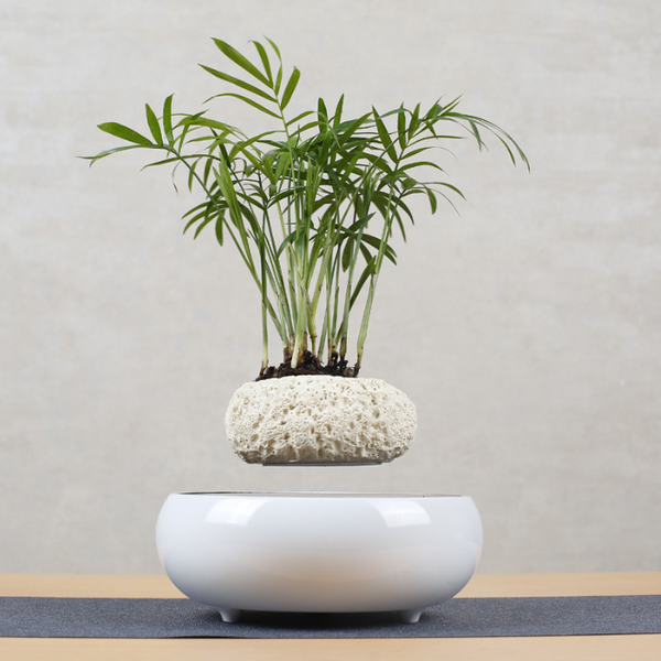Magnetic Levitation Polygonal Floating Plant Pot